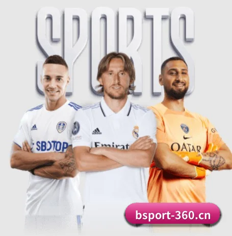 国际化进程（BSPORTS）